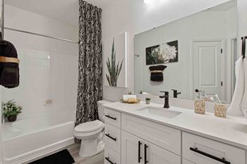 a bathroom with a sink and a toilet and a bath tub
